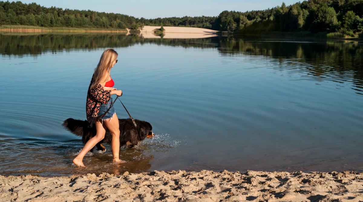 wakacje z psem nad jeziorem