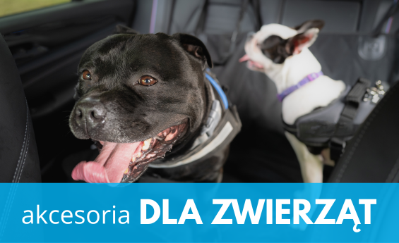 Akcesoria dla zwierząt
