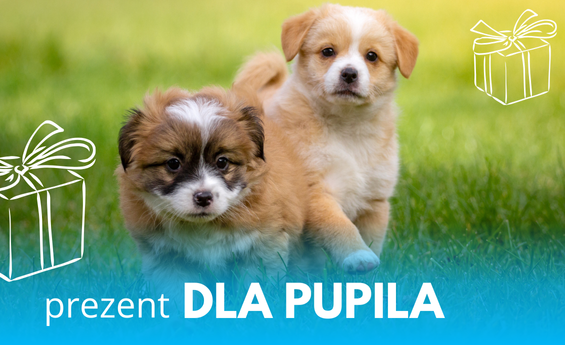 prezenty dla pupila