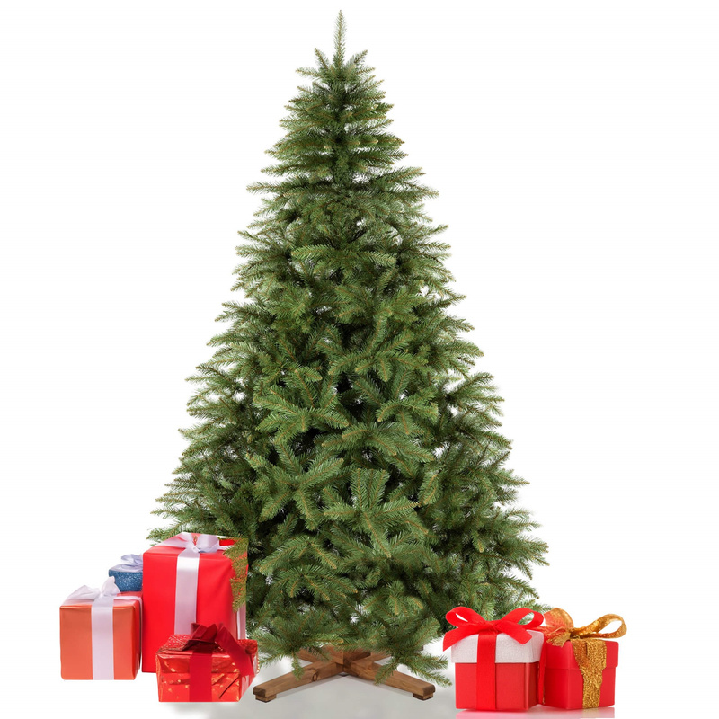 Świerk kaukaski, choinka sztuczna 240 cm Royal Trees premium drzewko świąteczne jak żywe