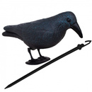 Odstraszacz ptaków 11x39x18,5cm stojący kruk granatowo-czarny