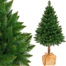 Choinka na pniu sztuczna sosna himalajska 220 cm