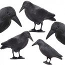 Odstraszacz ptaków 5 szt. 11x39x18,5cm stojący kruk czarny zestaw