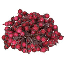 Sztuczna jarzębina ozdobna, oszroniona gałązka 100 szt. ciemny czerwony